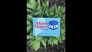 Want to know why Maine Matters this election?