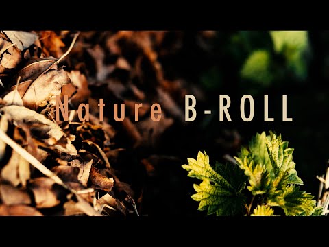 Pilot ONE Media video.