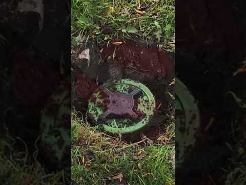 Catatumbo sin Dios ni Ley