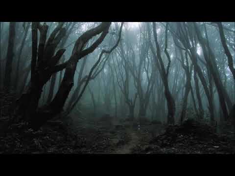 Sick Seckta - Jugando con tierra (Beat&Prod.Metrakillah)