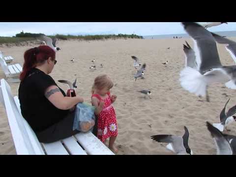 Molly Jean and the Seagulls