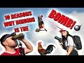 Why Birdwatching Is AMAZING!