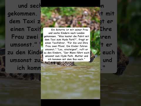 Sparsamer Schotte findet geniale Methode, beim Londoner Taxi Geld zu sparen.