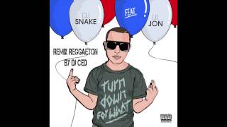 DJ Snake - turn down for what (remix reggaeton by Dj Ced) extended