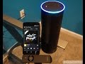 Amazon Echo's Alexa versus Google Search Amazon Echo's Alexa versus Google Search
