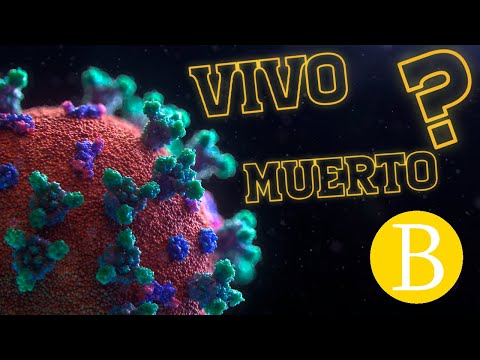 ¿Los VIRUS son SERES VIVOS? | Biología Desde Cero