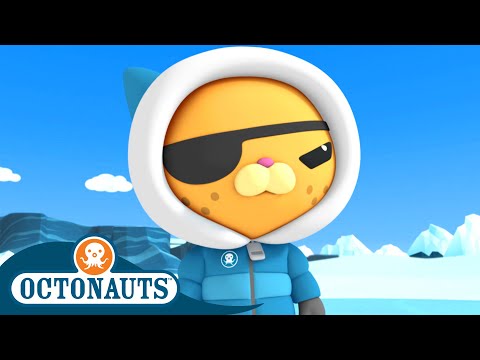 Octonauts #Winter Special! - The Great Arctic Adventure | Underwater Sea Education