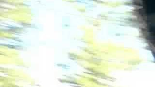 Rocks in My Head Music Video