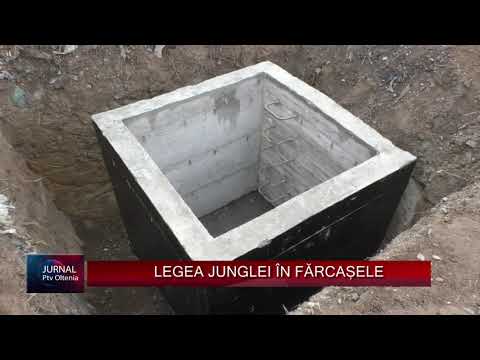 LEGEA JUNGLEI ÎN FĂRCAȘELE