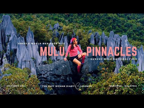 Mulu Pinnacles - Sarawak Borneo | Malaysia's Toughest Hike | 4D3N Mulu Adventure