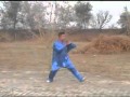 Baji Quan DanDa By Chang YuGang