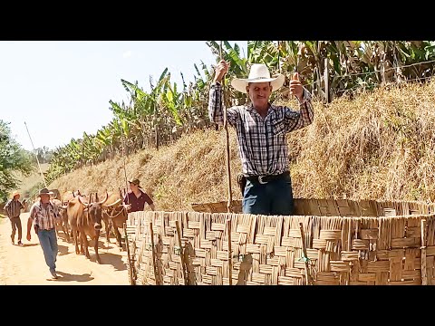 A TRADIÇÃO DO BAIRRO DO ABERTÃO EM CACHOEIRA DE MINAS-MG
