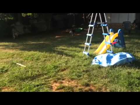 ADIVA recall (name only)