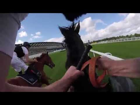 Course ride | Ryan Moore and Pat Smullen ride the QIPCO Champion Stakes
