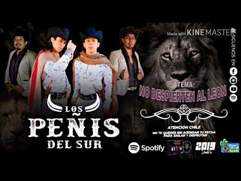 Los Peñis Del Sur - No Despierten Al León 🦁