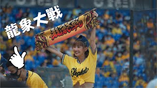 [現場] 龍象大戰