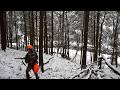 DEER HUNTING 2025 Pennsylvania Rifle Season How To SNEAK UP ON Whitetails Tips Strategies BIG WOODS