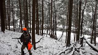 DEER HUNTING 2025 Pennsylvania Rifle Season How To SNEAK UP ON Whitetails Tips Strategies BIG WOODS