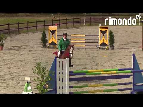 Harm Lahde siegt mit Oak Grove's Oligarch in der Springpferdeprüfung Kl. M in Westergellersen