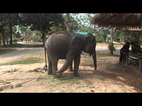 Koh Chang Thailand Elephant Island - Tropical Island Paradise