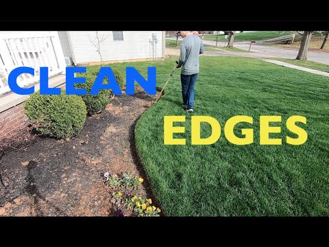 How to have CLEAN EDGES in your lawn