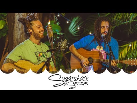 Iya Terra - Movement (Live Music) | Sugarshack Sessions