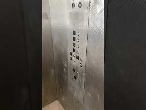 EPIC MOTOR: Ghetto Glass Pine State/GAL Hydraulic Lift at the Hanover Garage in Portsmouth, NH