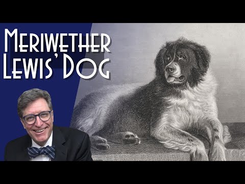 Seaman: Meriwether Lewis' Dog