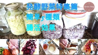 発酵食品にハマってます！５種類の発酵野菜を作り置きします。菌トレでますます健康体に。。。