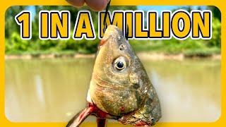 Caught Something We've Never Seen Before (Gar Fishing)