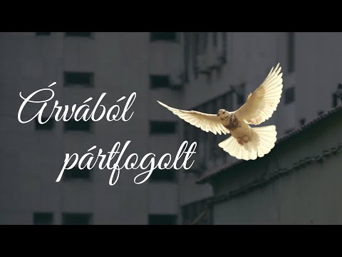 Árvából pártfogolt