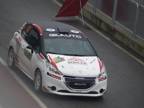 [Cameracar] Rally Cremona Circuit, Bühler - Stella, 208 R2B