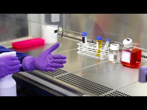 Aseptic technique   video protocol