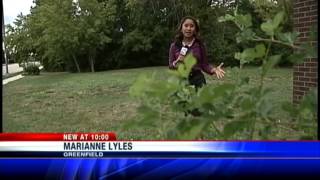 High mold count blamed for allergy problems