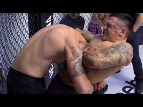 GABOR BORAROS OKTAGON