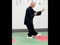 TAI CHI   Simplified Exercise 'Grasp the Sparrow's Tail'