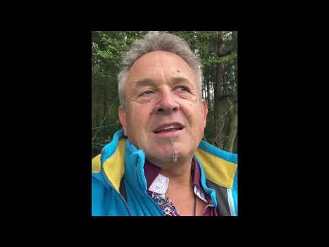 Ein kraftvoller Start in den Tag mit den Mindflow Asanas