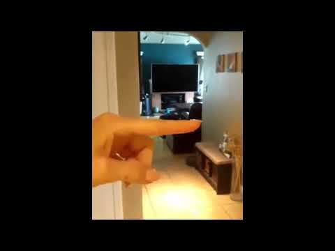 Compilation- les perroquets les plus drôles ptdr🤣🤣🤣