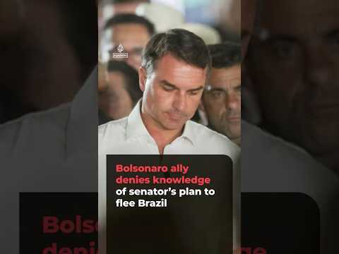 Bolsonaro ally denies knowledge of senator’s plan to flee Brazil | AJ #shorts