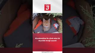 Afyon'da yürekleri ısıtan görüntü!