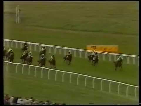 1988 E.B.F. Yattendon Maiden Stakes