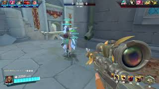 PALADINS  TDM STRIX使ってみた！