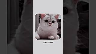 Download lagu story wa bucin mp3 Download lagu story wa bucin mp3