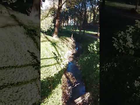 puente antiguo en las albahacas Córdoba !!