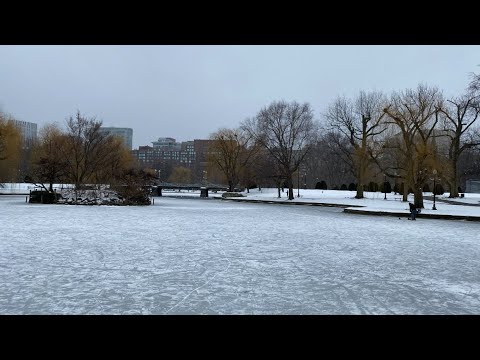 Boston LIVE Exploring in the Snow Storm from Government Center to Harvard Square (February 1, 2021)
