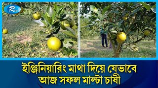 গাজীপুরের শ্রীপুর উপজেলার সফল মাল্টা চাষী