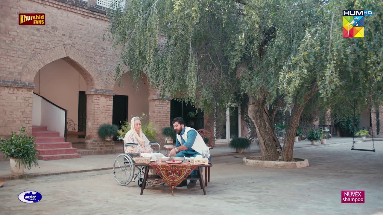 Ajj Hum Dono Maa Beta Sath Khana Kaye Ge.. #zanjeerain #sajalaly #humtv