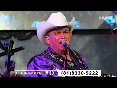 La Lámpara - Los Amables del Norte de Nacho Hernández