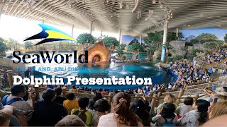 The Wet and Witty Dolphin Presentation in SeaWorld Abu Dhabi