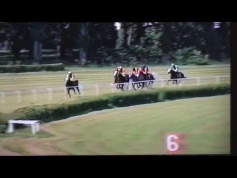 Nagroda Ofira - 24.05.2003 - Millennium (Almir - Tatarka)